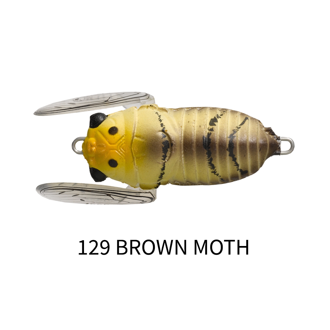 545813_6