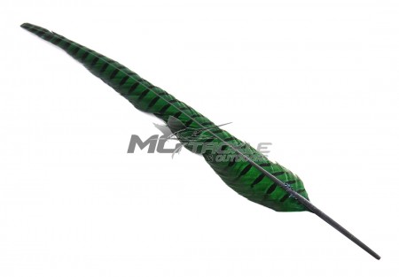 Wapsi 1 Pair Ringneck Tail Feathers