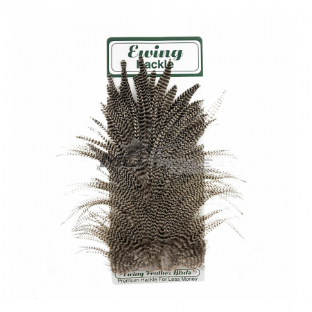 Ewing Schlappen Hackle