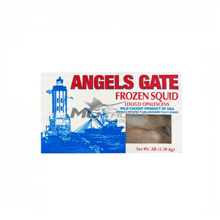 Angels Gate Frozen Squid
