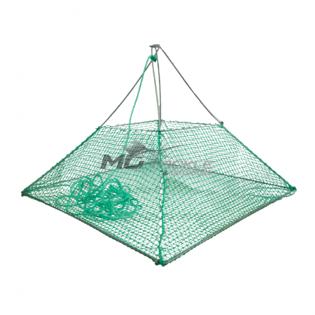 Wilson Pyramid Trap