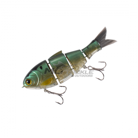 Bucca Bull Shad