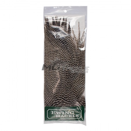 Ewing Saddle Hackle