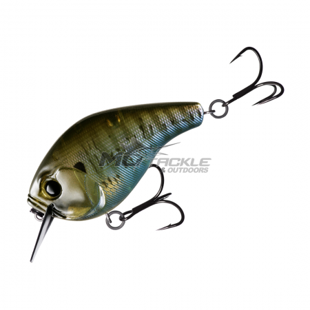13 Fishing Scamp Lure