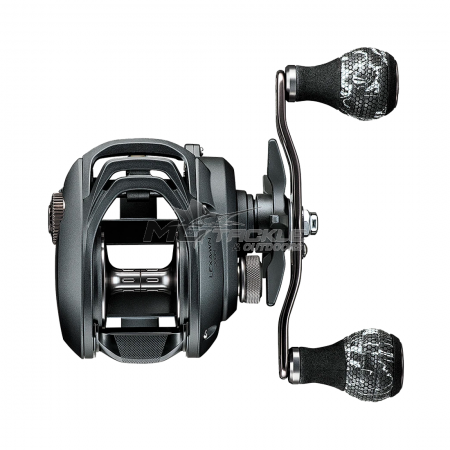 Daiwa 20 Lexa WN Baitcast Reel