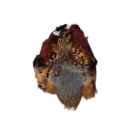 Ringneck Pheasant Skin Natural Cock