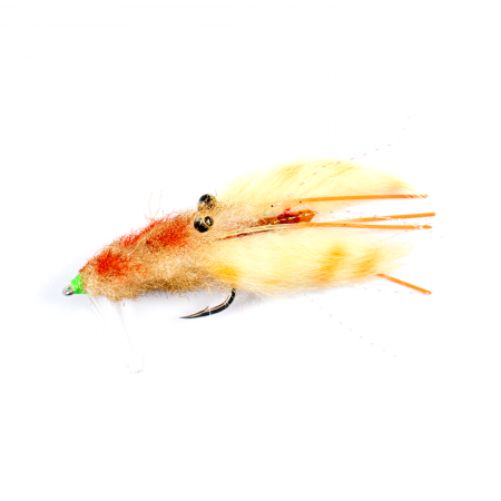 Manic Mangrove Crab Fly