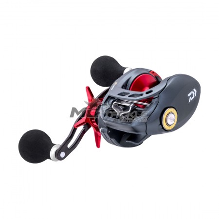 Daiwa Tatulion Baitcast Reel