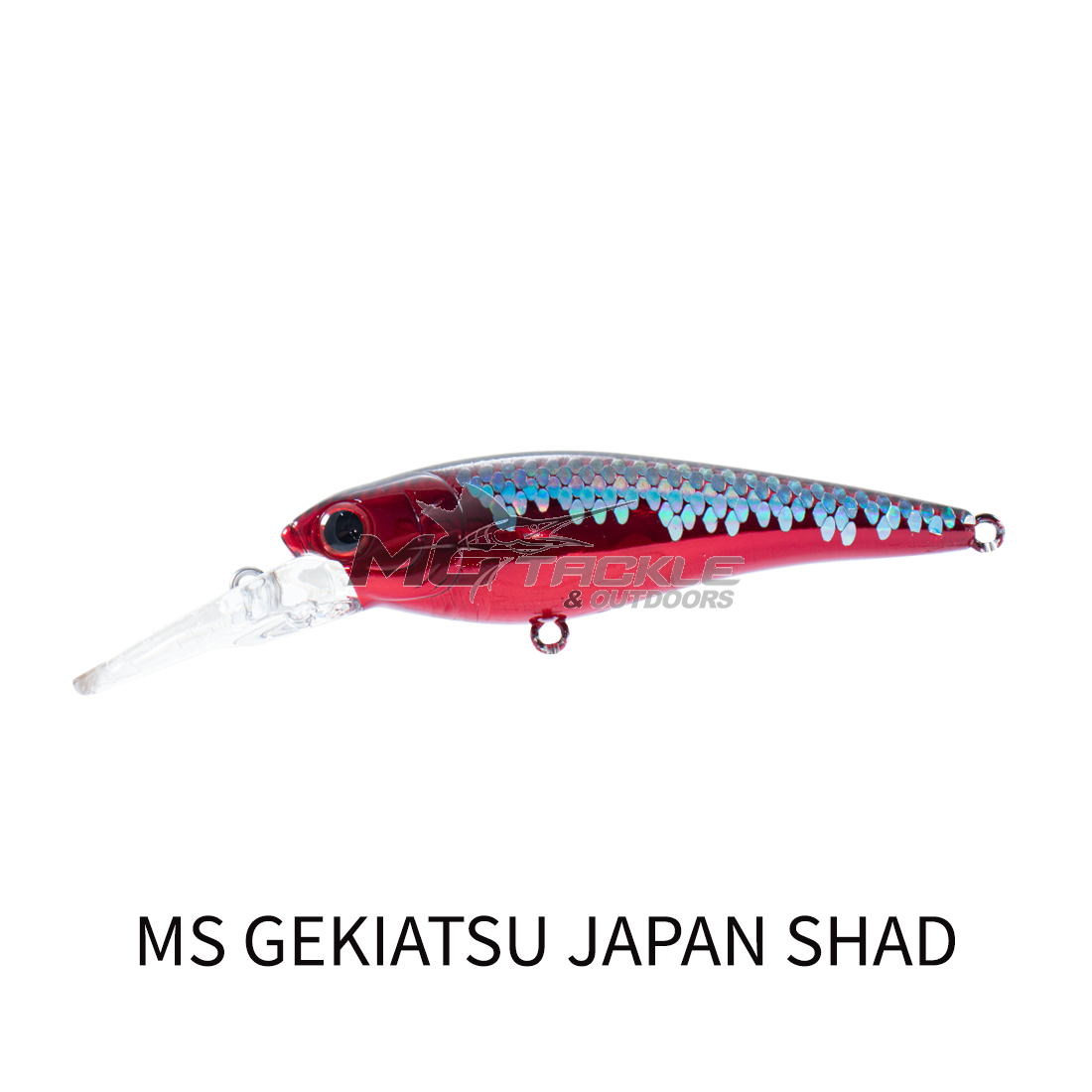 シェイキーウーマン シェイキーウーマン