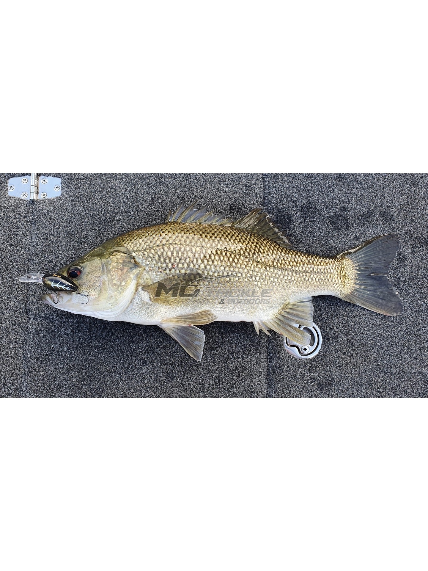 Motackle Inside MoTackle Premium Clarence River Bass Pack | MoTackle & Outdoors