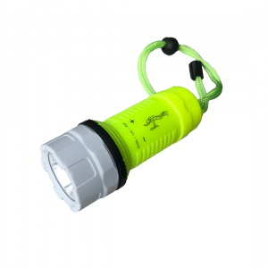 Perfect Image Floating Waterproof Torch
