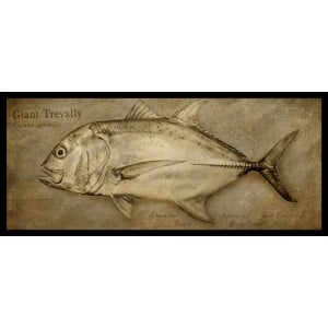 Fishoz Framed Fish Print