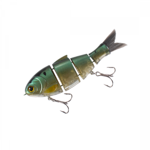 Bucca Bull Shad