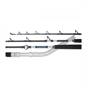 Daiwa Saltist Dendoh Electric Rod
