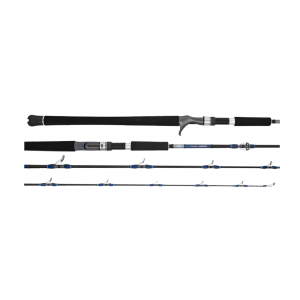 Daiwa 25 Seaborg DG Electric Rod