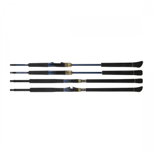 Daiwa Saltiga Expedition Rod
