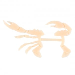Flats Craft Split Crab Legs