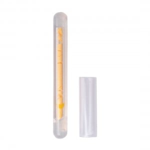 Night Lights Glow Stick