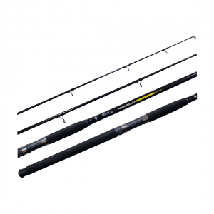 iCatch Rock / Beach Spin Rod