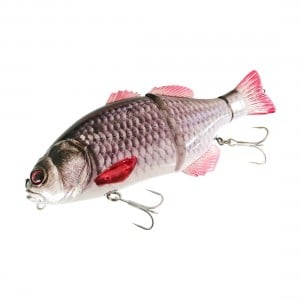 Jackall Gigantarel 200mm Swimbait RT ROACH MOTackle Exclusive