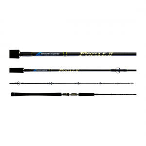 Oceans Legacy Focal 2 Spin Rod