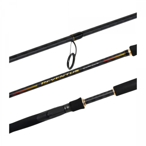 Shimano Beastmaster / Status BW Electric Combo | MoTackle & Outdoors