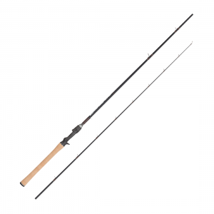 TenRyu Speed Stick Baitcast Rod