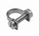 Rob Allen Muzzle Eye