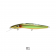 Classic Lures Barra Indigenous Collection Lure