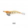 Jingo Rocketeer Squid Jig