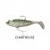 SureCatch Live Shad