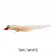 H2O Clouser Minnow Fly