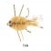 H2O Merkin Crab Fly