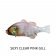 Jackall Gigantarel 200mm Swimbait