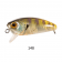 Harima Mazzy Popper