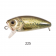 Harima Mazzy Popper