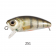 Harima Mazzy Popper