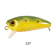 Harima Mazzy Popper