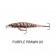 Rapala Shadow Rap Jerkbait