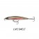 Rapala Shadow Rap Jerkbait