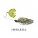 Jackall Derabuzz Spec-R