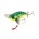 Jackall Pompadour Replacement Wings