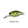 Jackall Diving Chubby Medium Floating Lure