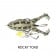 Lunkerhunt Prop Frog