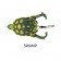 Lunkerhunt Prop Turtle