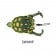 Lunkerhunt Prop Turtle