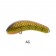 Oar-Gee Lures Plow Rattle 60mm