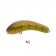 Oar-Gee Lures Plow Rattle 60mm