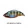 Megabass Vatalion 190 (SS) Lure