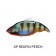 Megabass Vatalion 190 (SS) Lure
